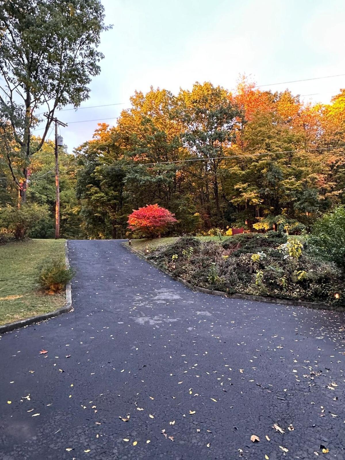 Cayuga Lake Cottage With Private Lake Access Washingtonville 外观 照片